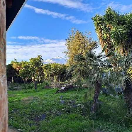 Апартаменты Ilice Tiny House