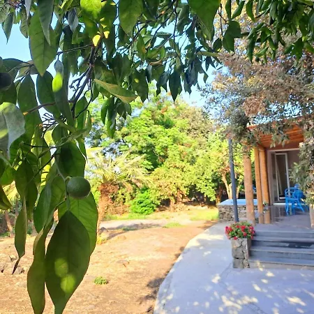Ilice Tiny House *