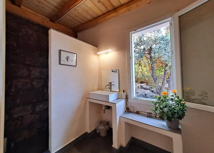 Апартаменты Ilice Tiny House